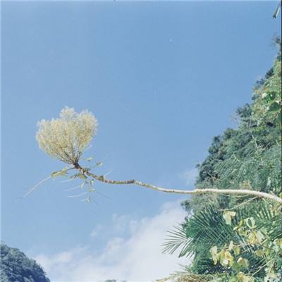 患者没挂上号 医生蹲在地上看CT片